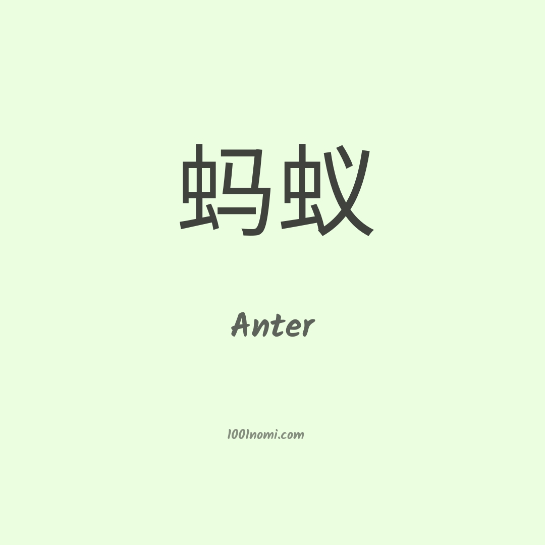 Anter in cinese Anter in cinese