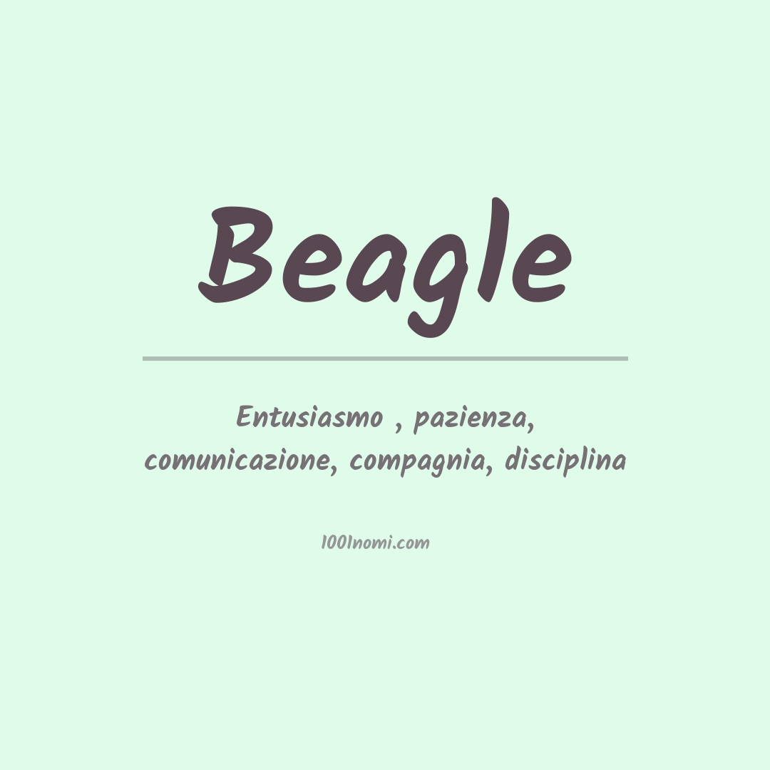 Significato del nome Beagle