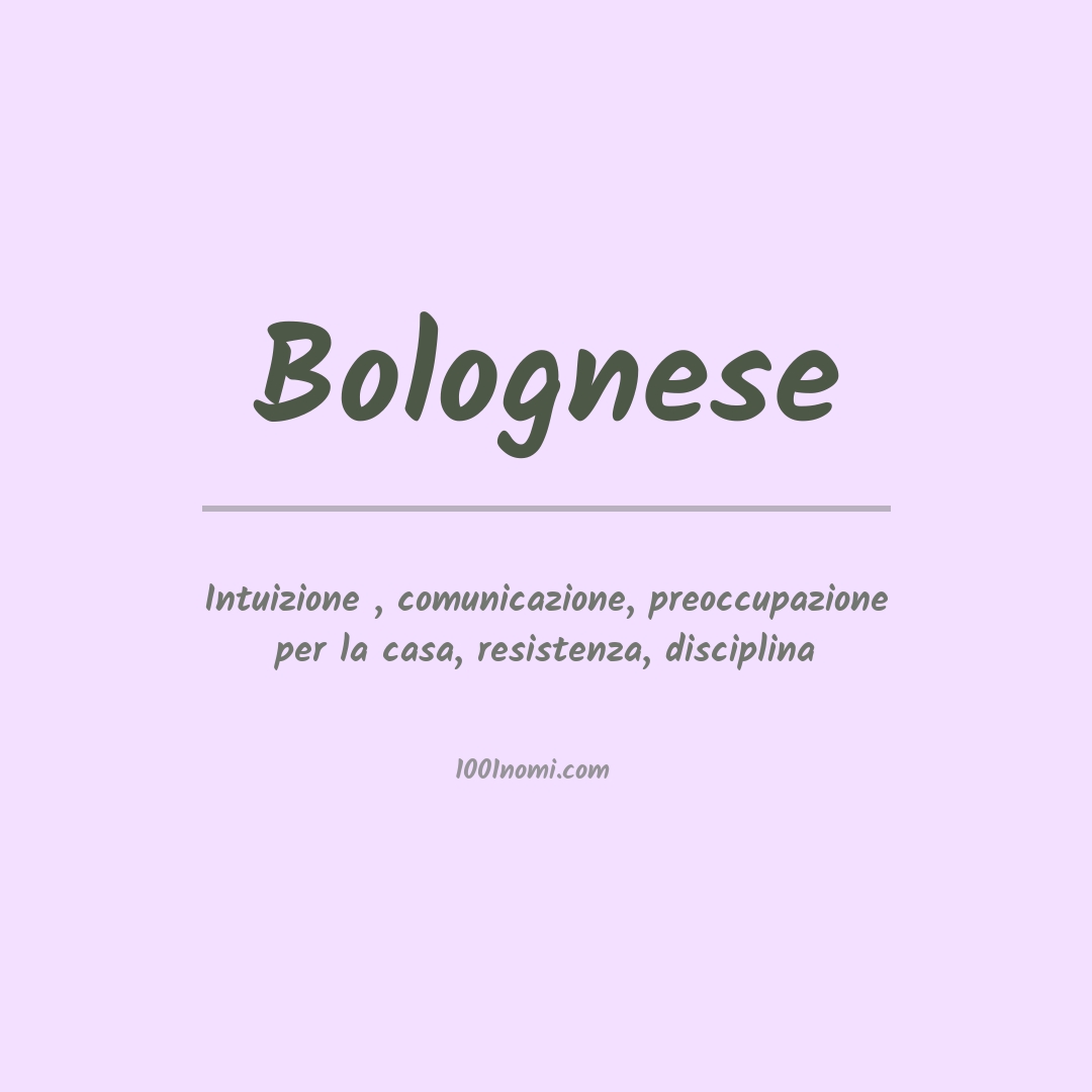 Significato del nome Bolognese