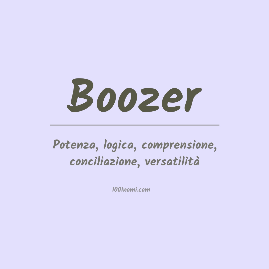 Significato del nome Boozer