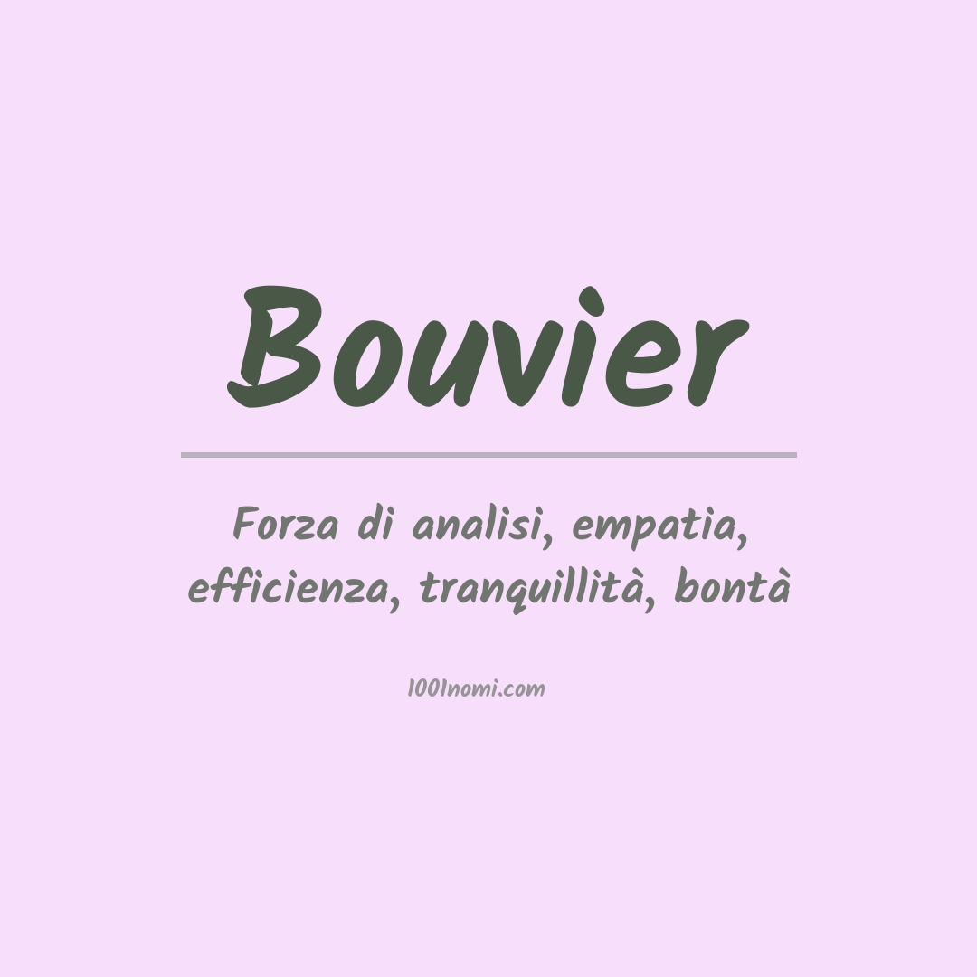 Significato del nome Bouvier