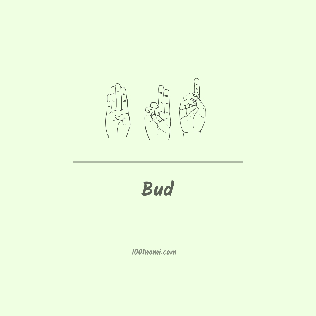 Bud nella lingua dei segni