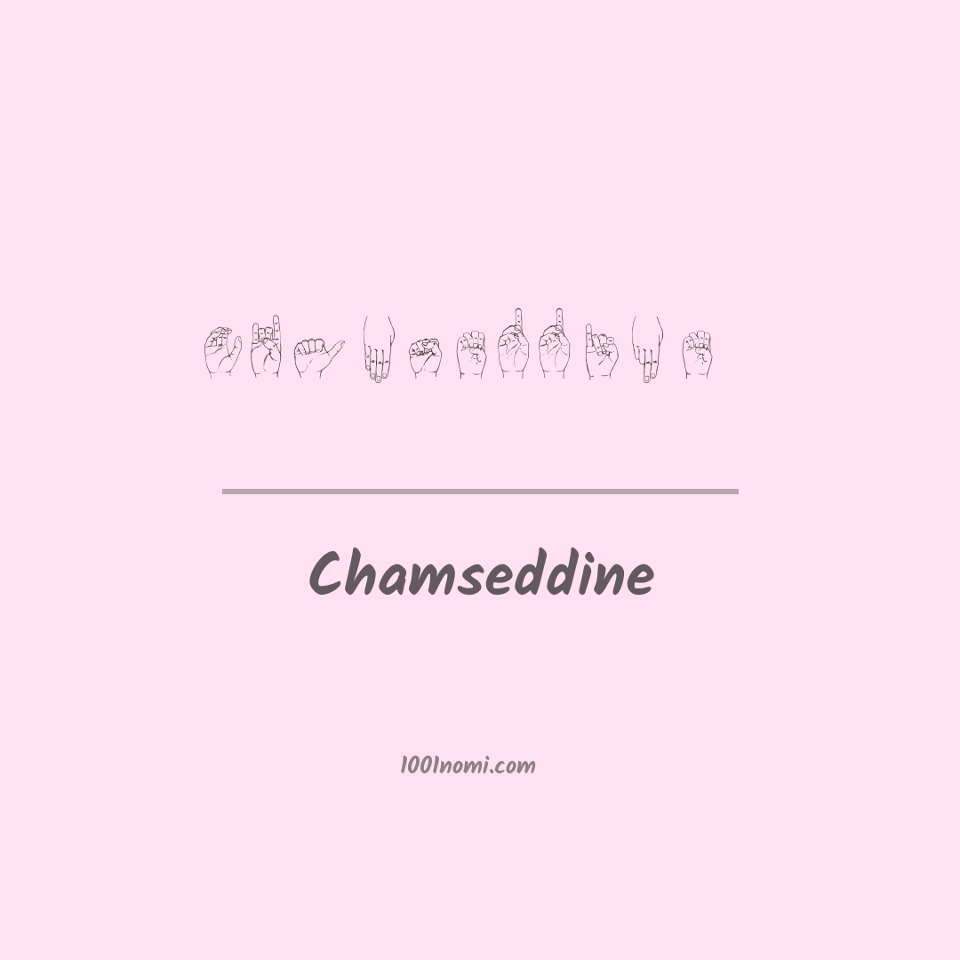 Chamseddine nella lingua dei segni Chamseddine nella lingua dei segni