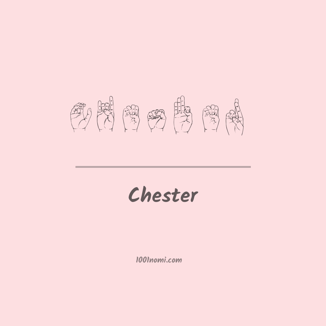 Chester nella lingua dei segni