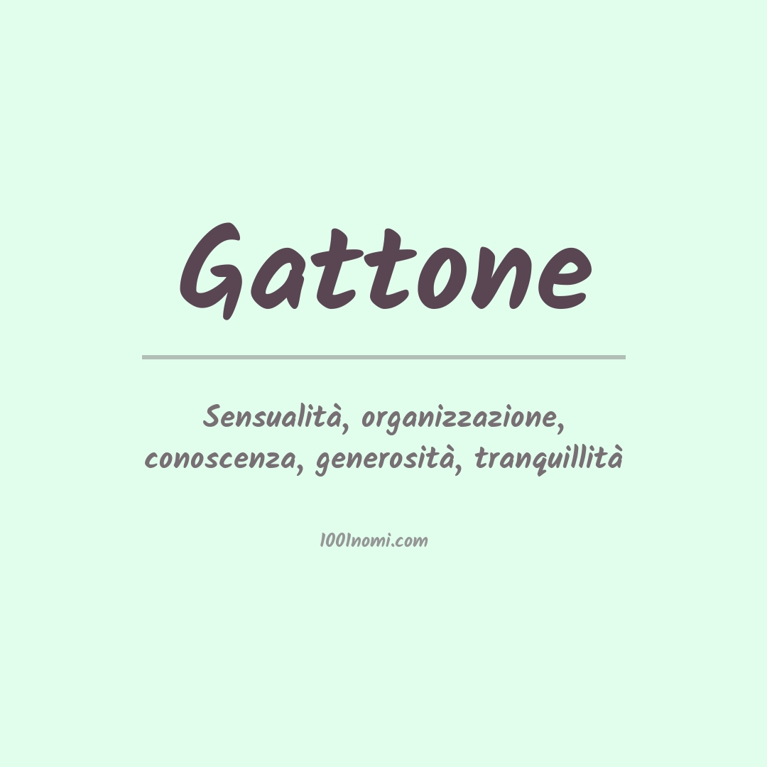 Significato del nome Gattone