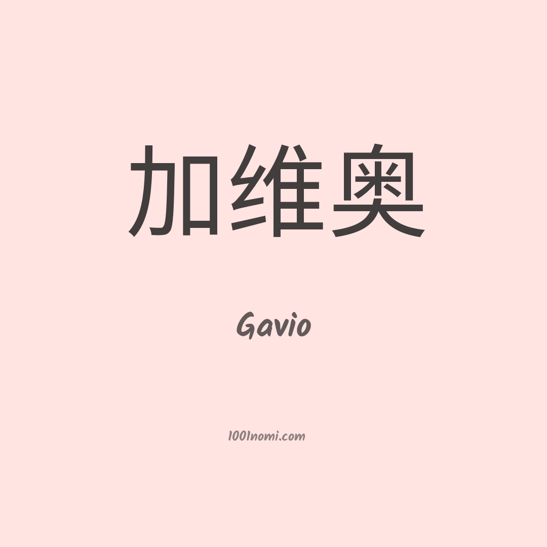 Gavio in cinese Gavio in cinese