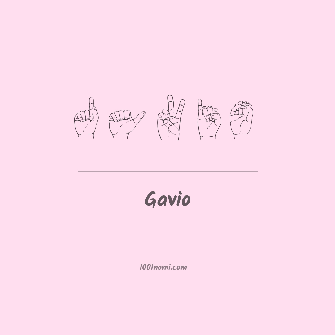Gavio nella lingua dei segni Gavio nella lingua dei segni