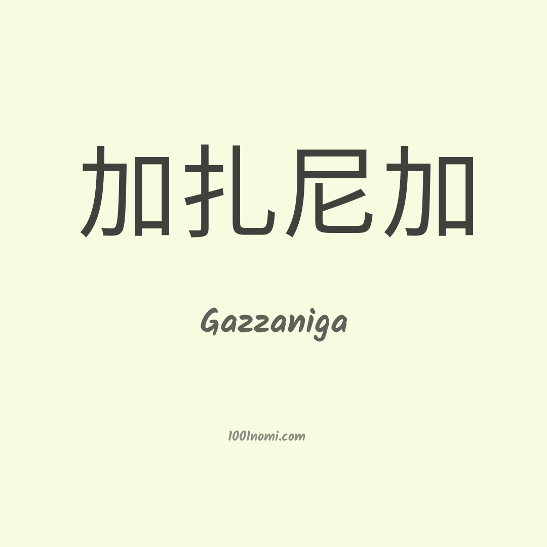 Gazzaniga in cinese Gazzaniga in cinese