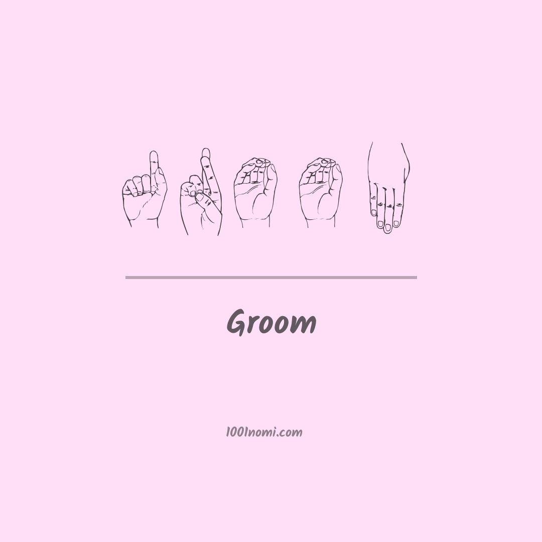 Groom nella lingua dei segni
