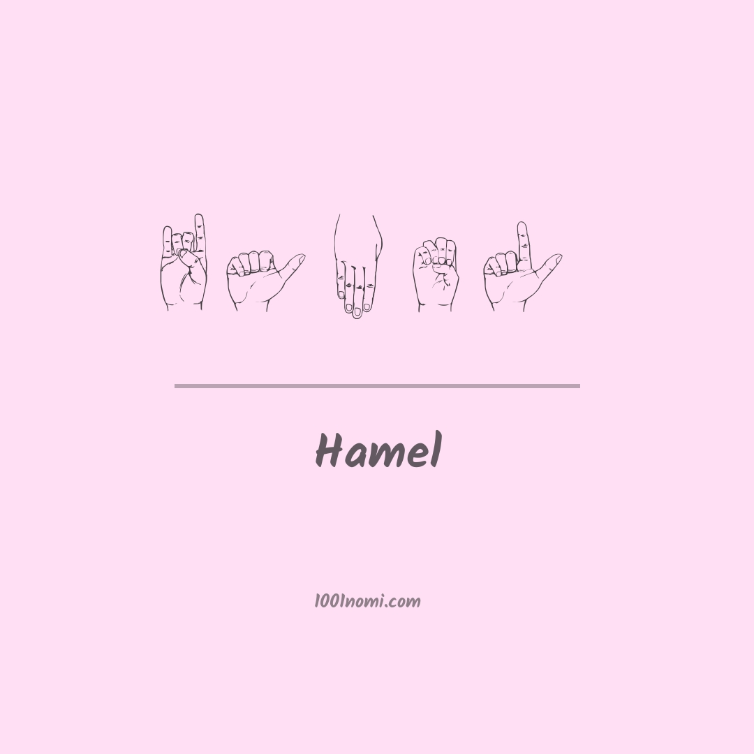 Hamel nella lingua dei segni