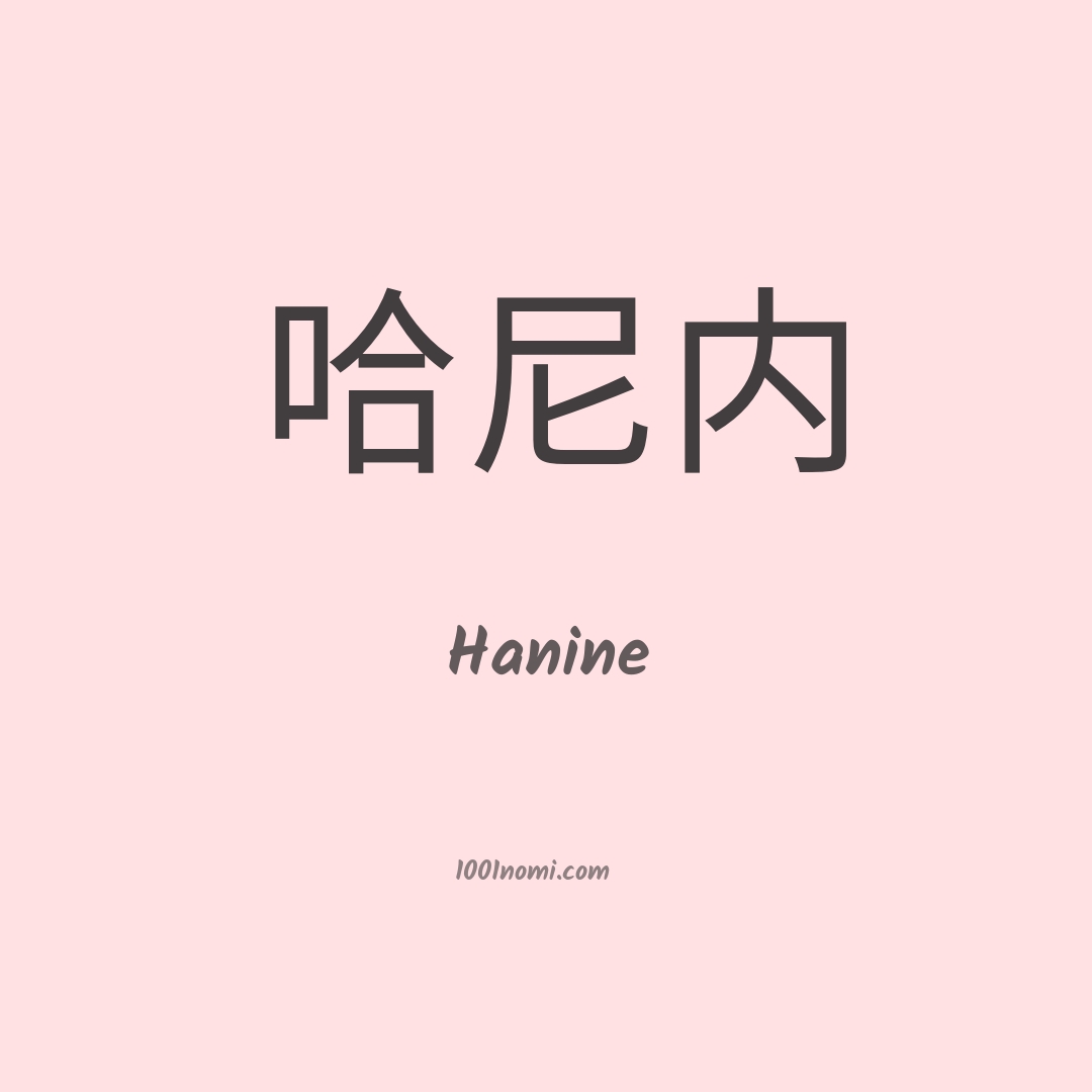 Hanine in cinese Hanine in cinese