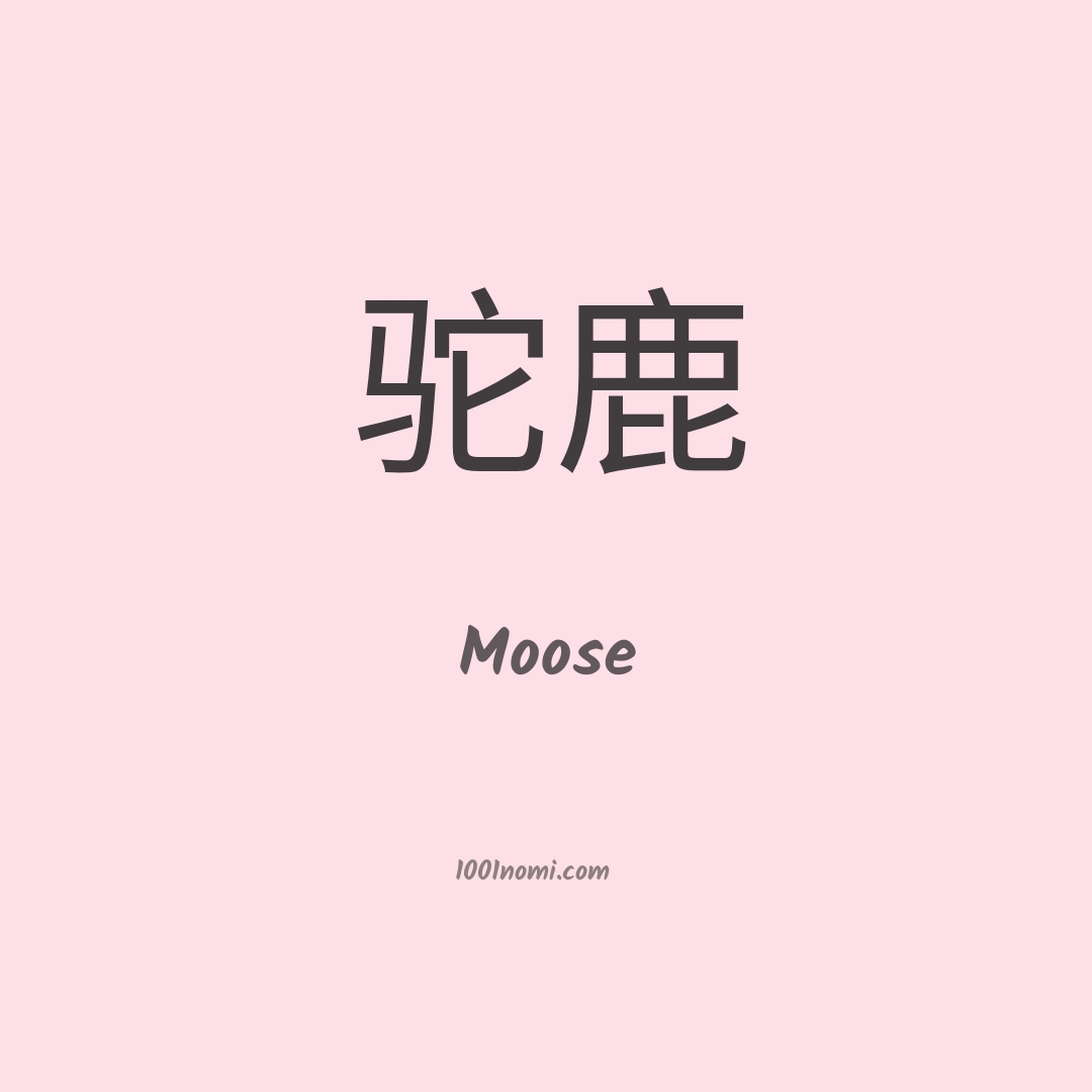Moose in cinese