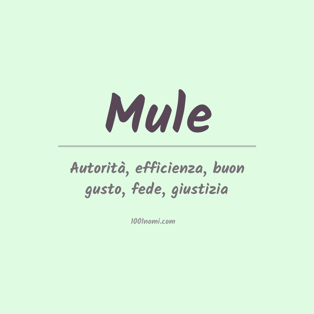 Significato del nome Mule