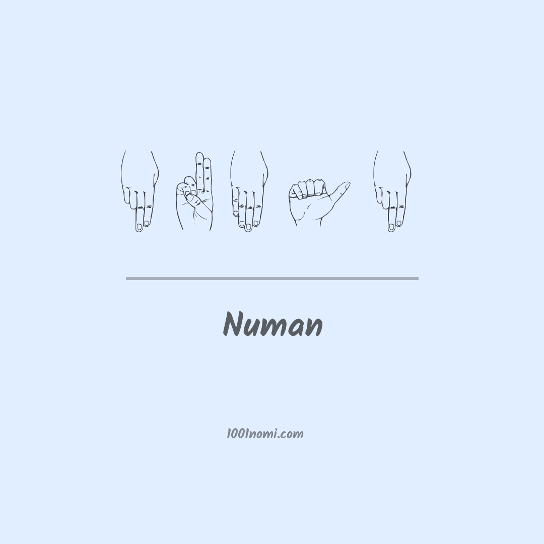 Numan nella lingua dei segni Numan nella lingua dei segni