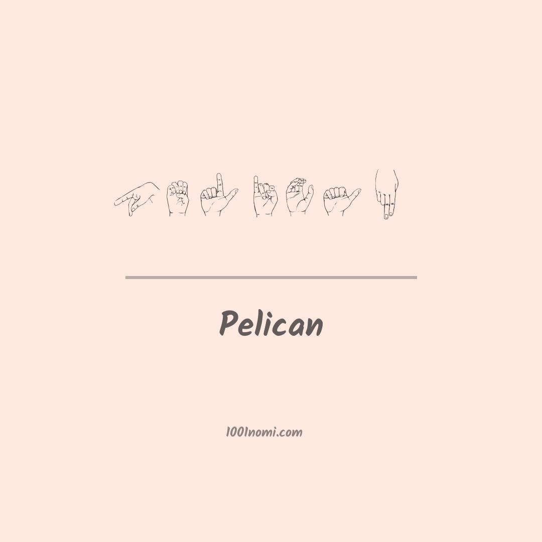 Pelican nella lingua dei segni