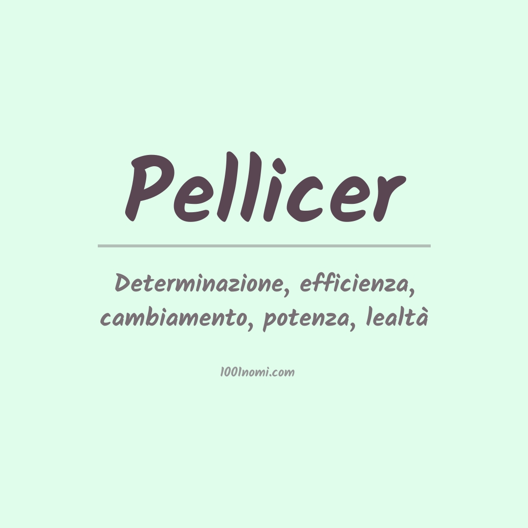 Significato del nome Pellicer