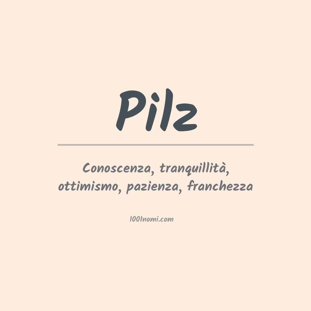 Significato del nome Pilz