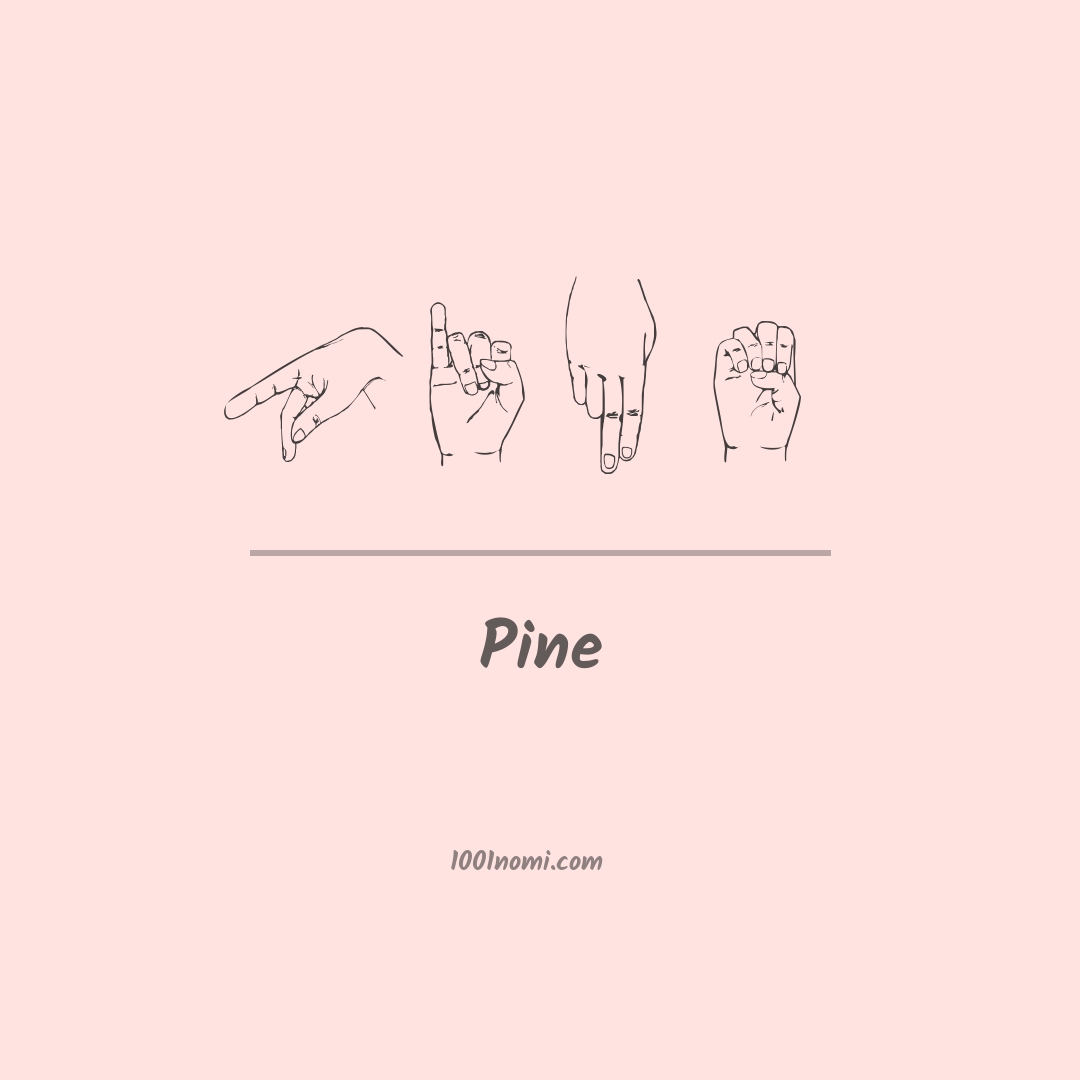 Pine nella lingua dei segni