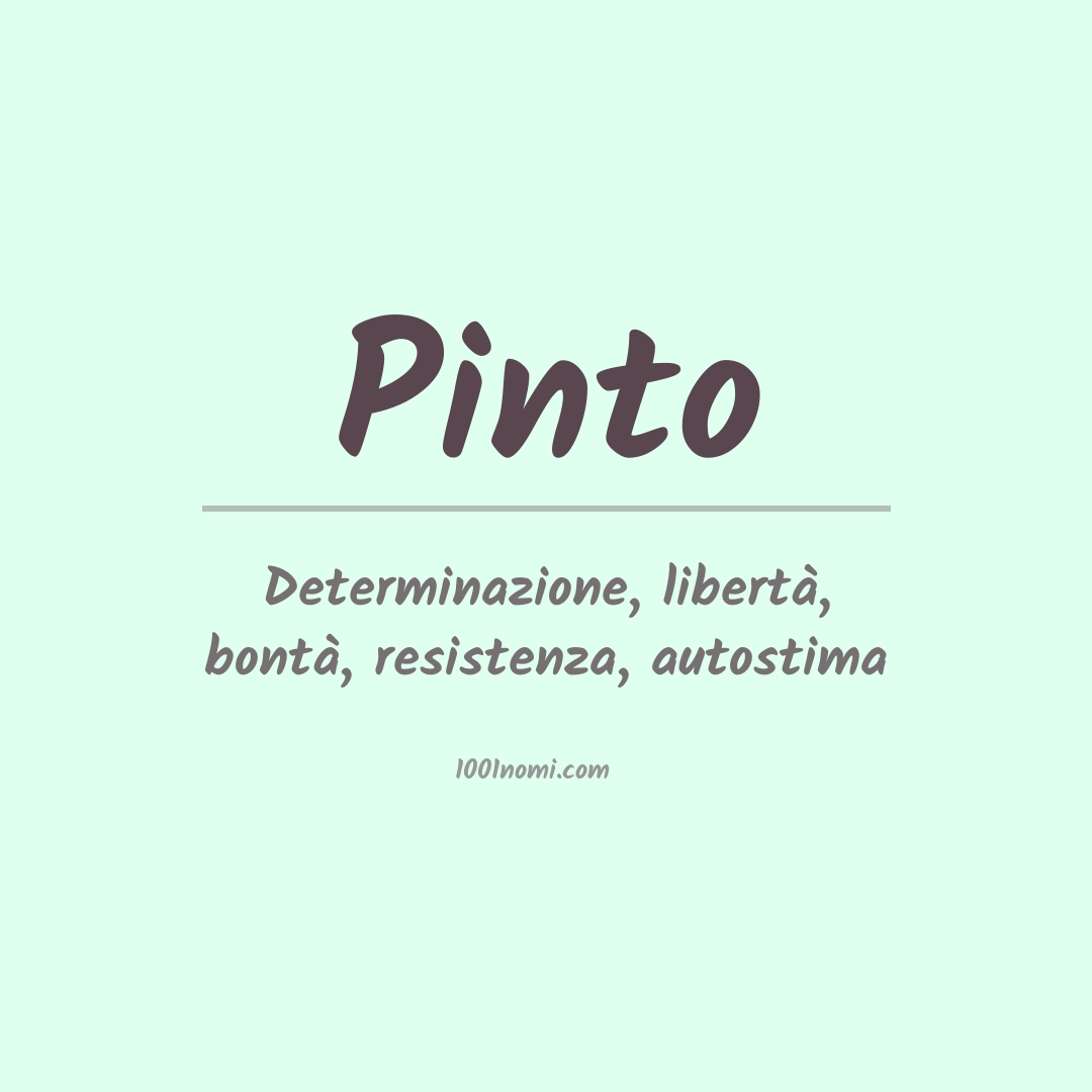 Significato del nome Pinto
