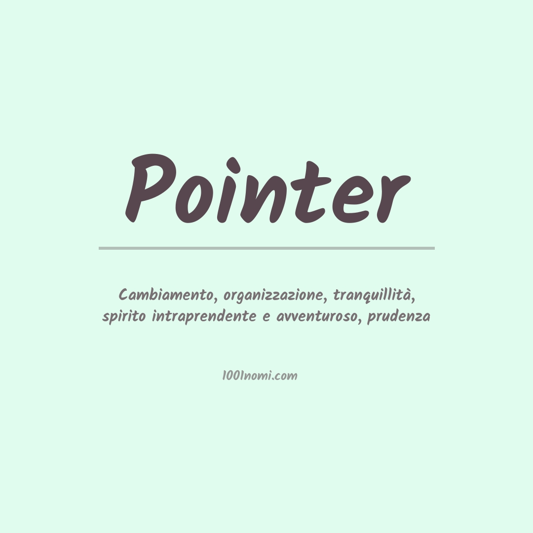 Significato del nome Pointer