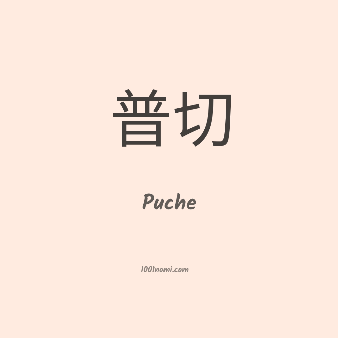 Puche in cinese Puche in cinese