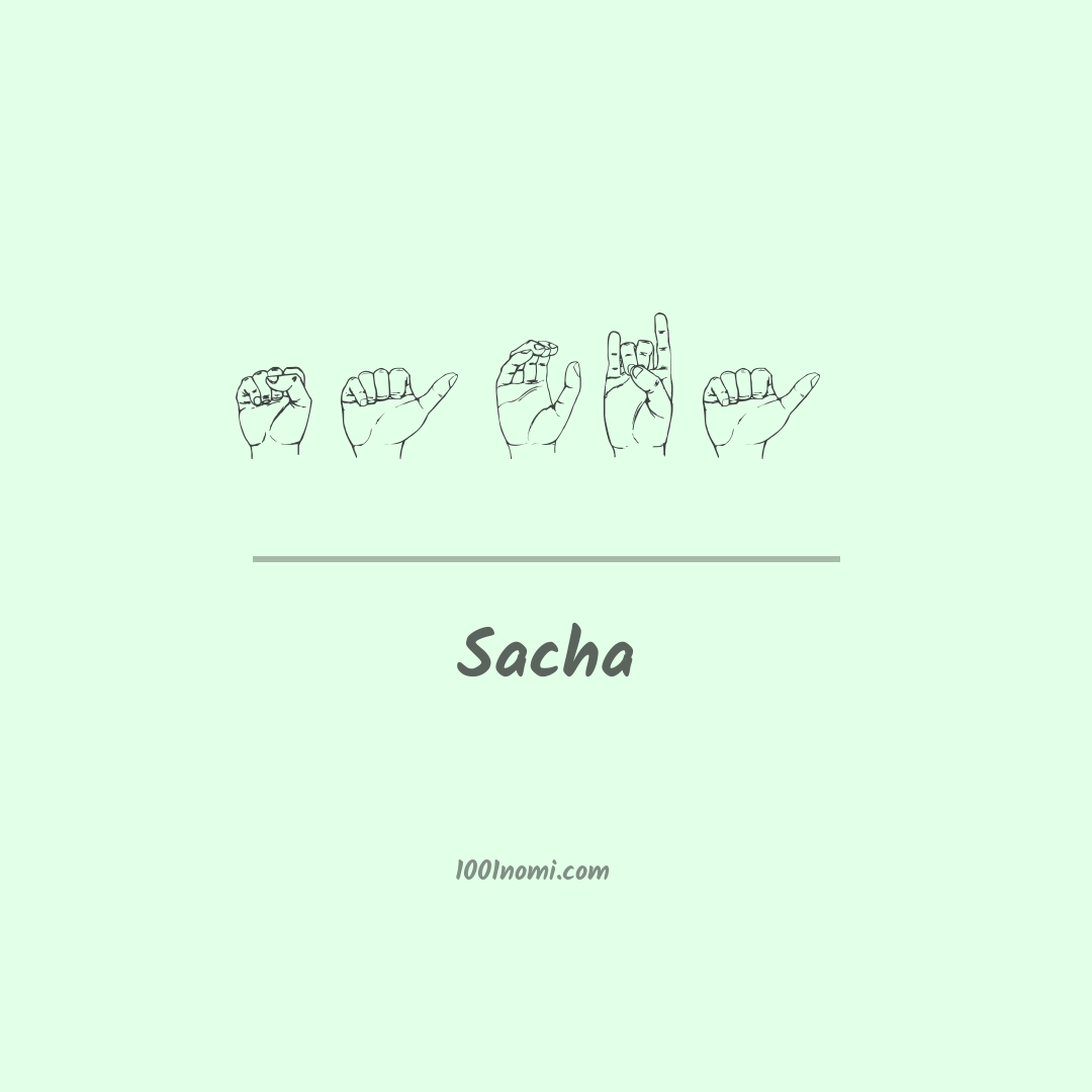 Sacha nella lingua dei segni