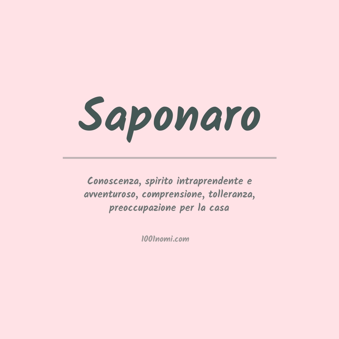 Significato del nome Saponaro