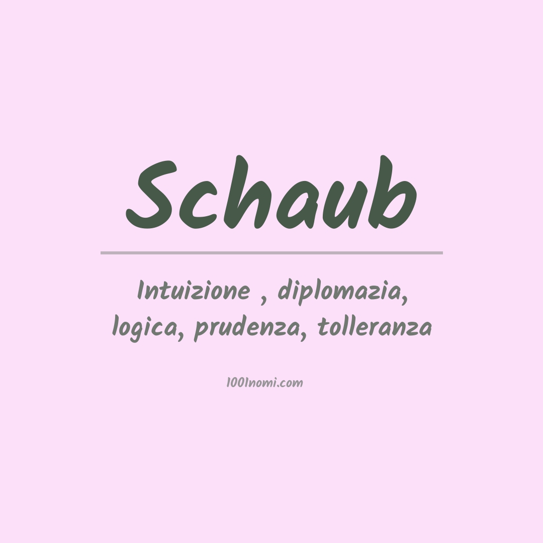 Significato del nome Schaub