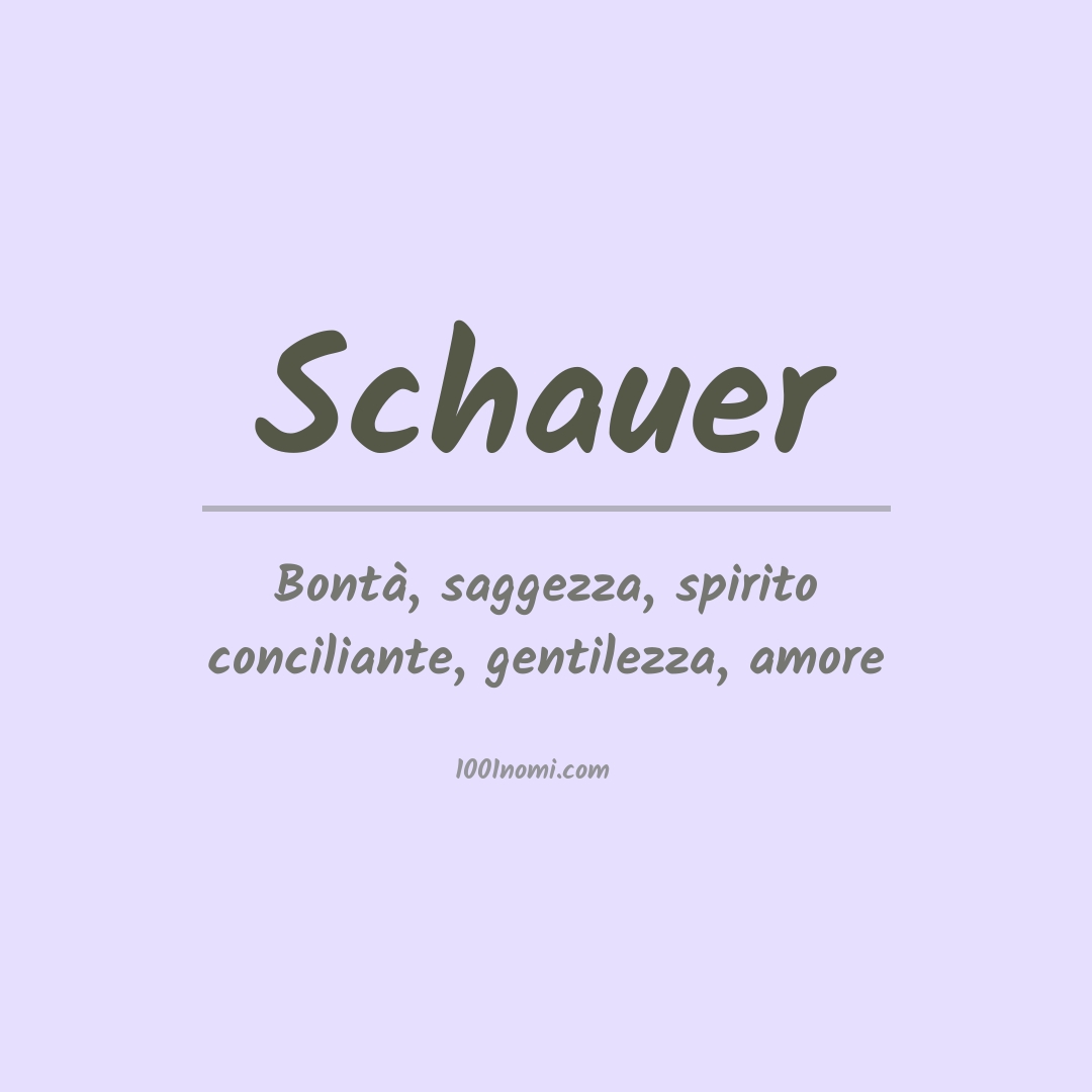 Significato del nome Schauer