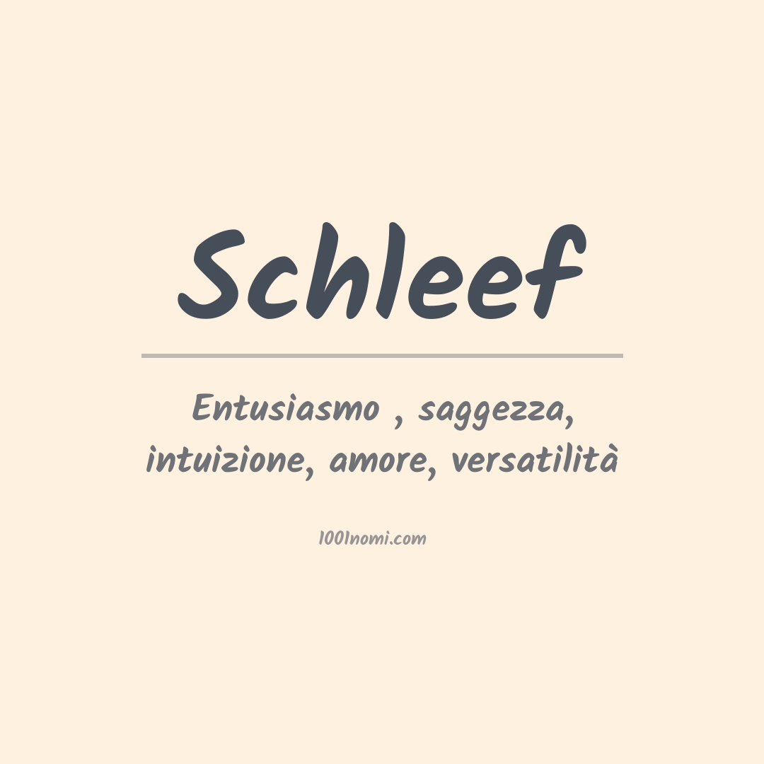 Significato del nome Schleef