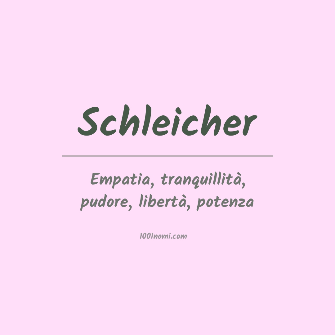 Significato del nome Schleicher