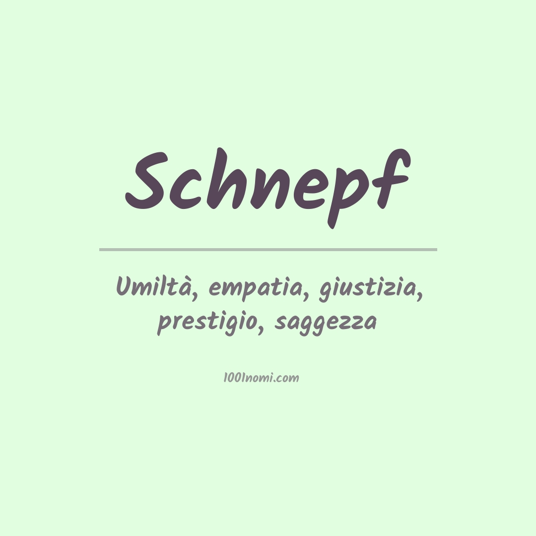 Significato del nome Schnepf