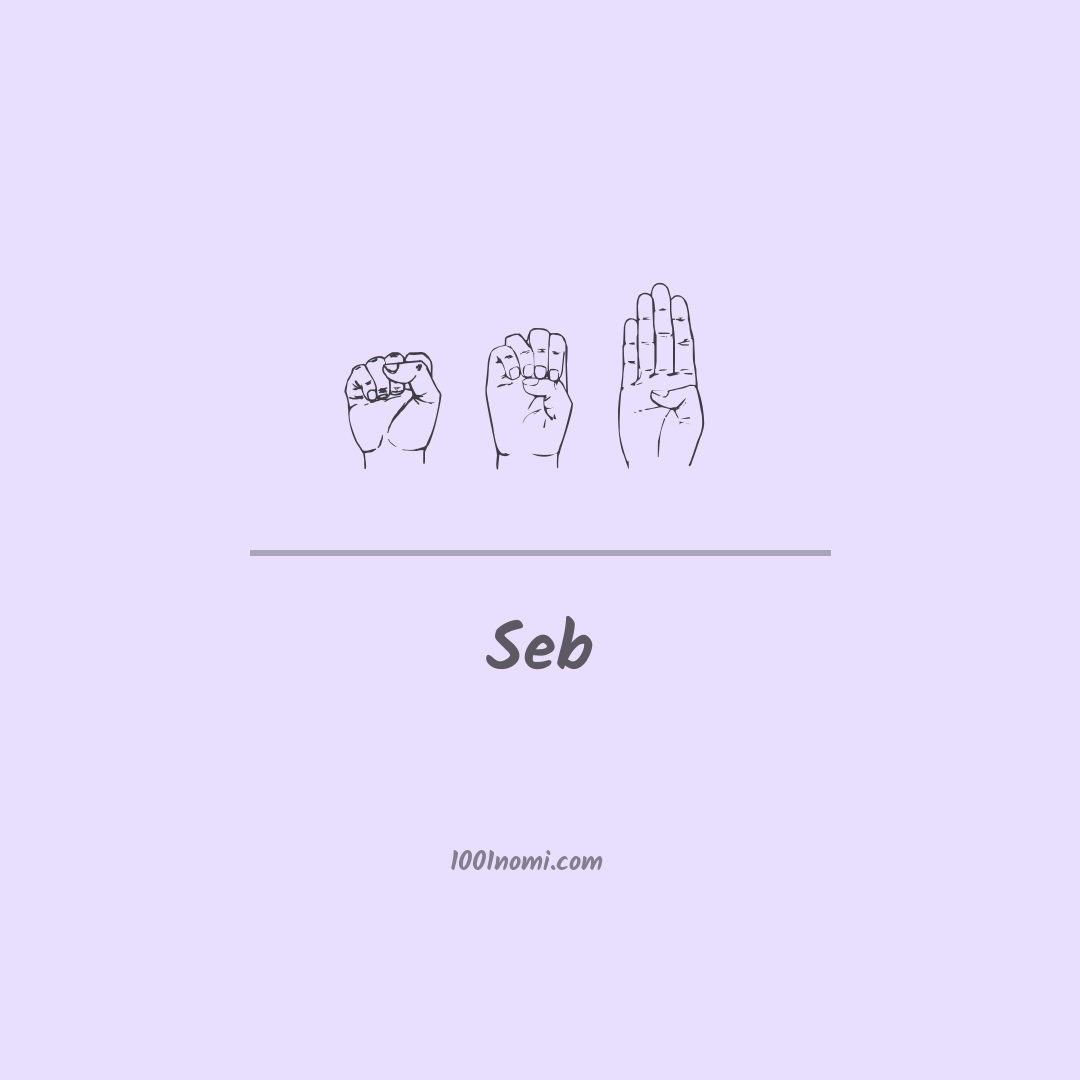 Seb nella lingua dei segni