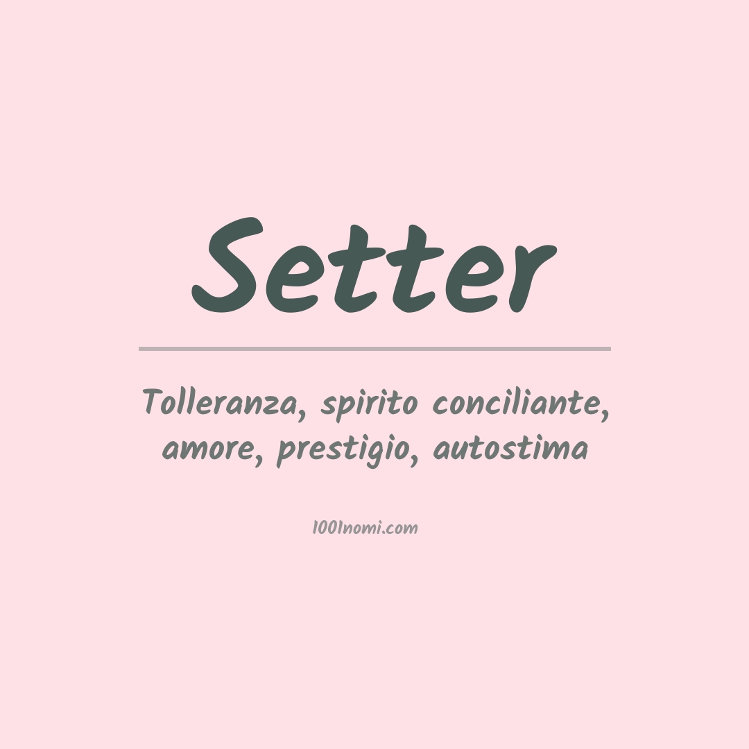 Significato del nome Setter