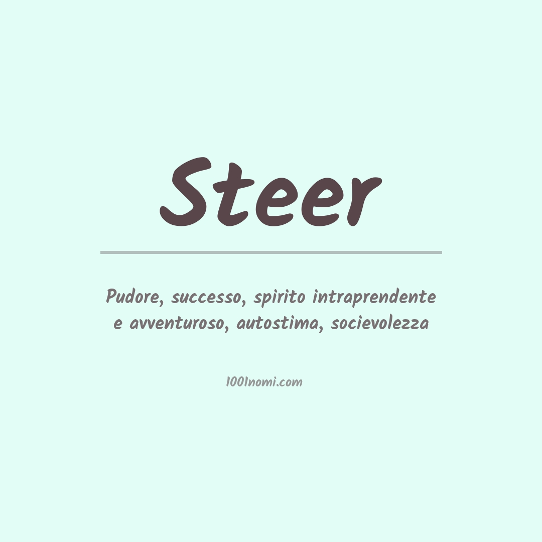 Significato del nome Steer