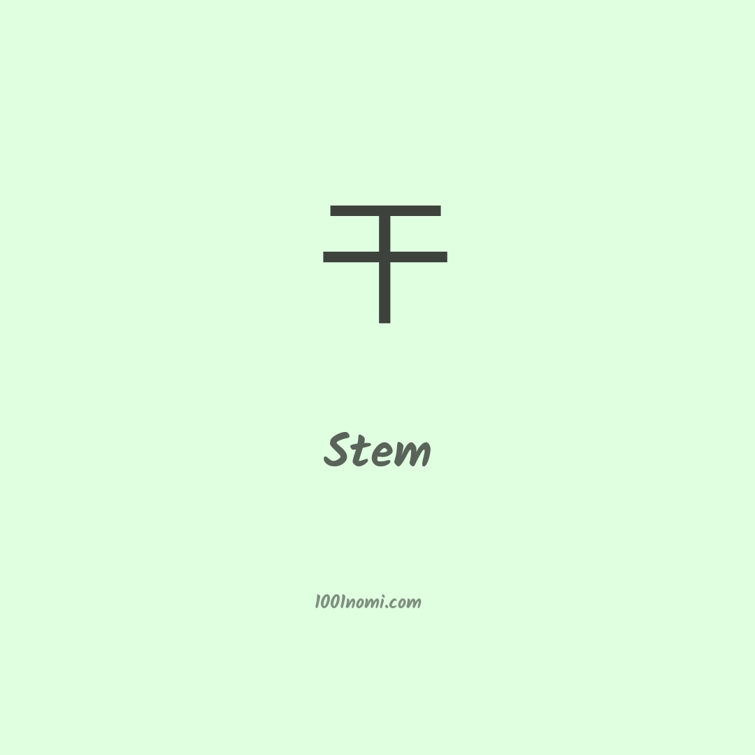 Stem in cinese Stem in cinese