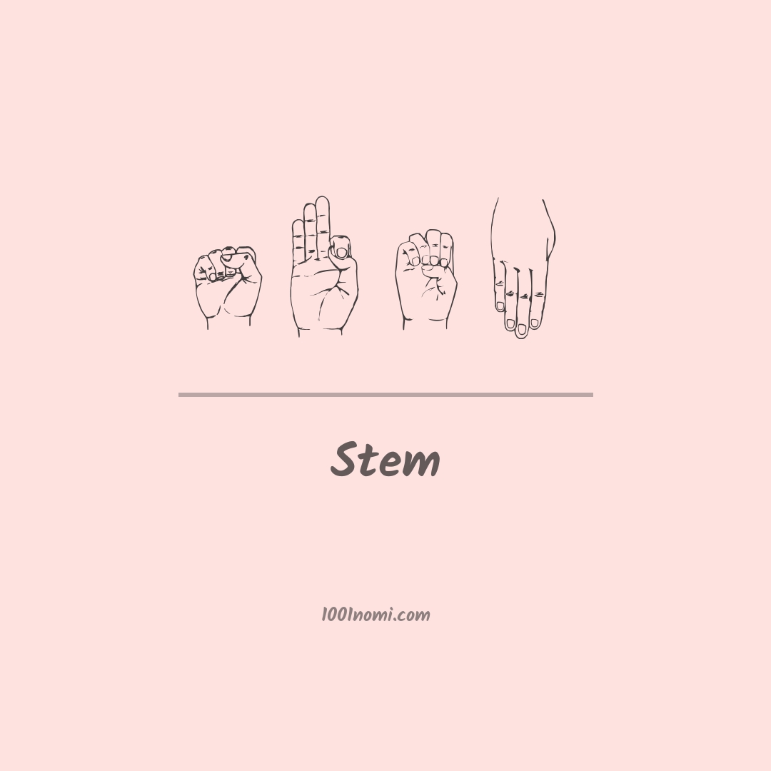 Stem nella lingua dei segni Stem nella lingua dei segni