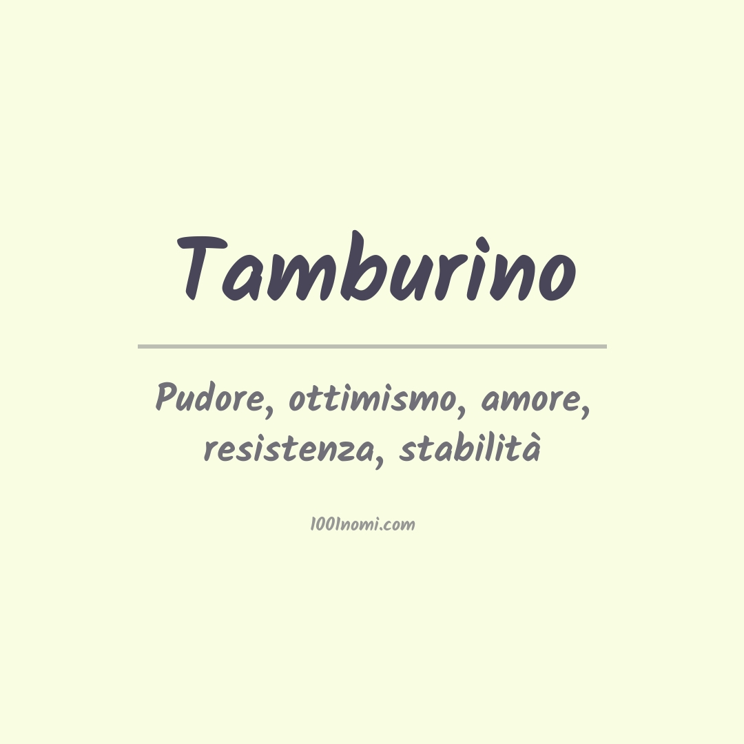 Significato del nome Tamburino