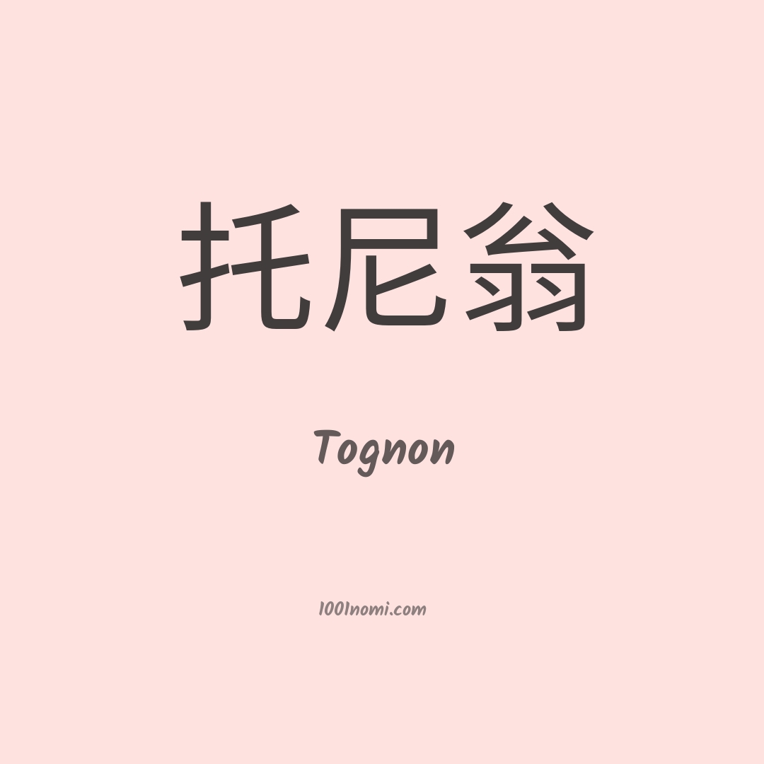 Tognon in cinese Tognon in cinese
