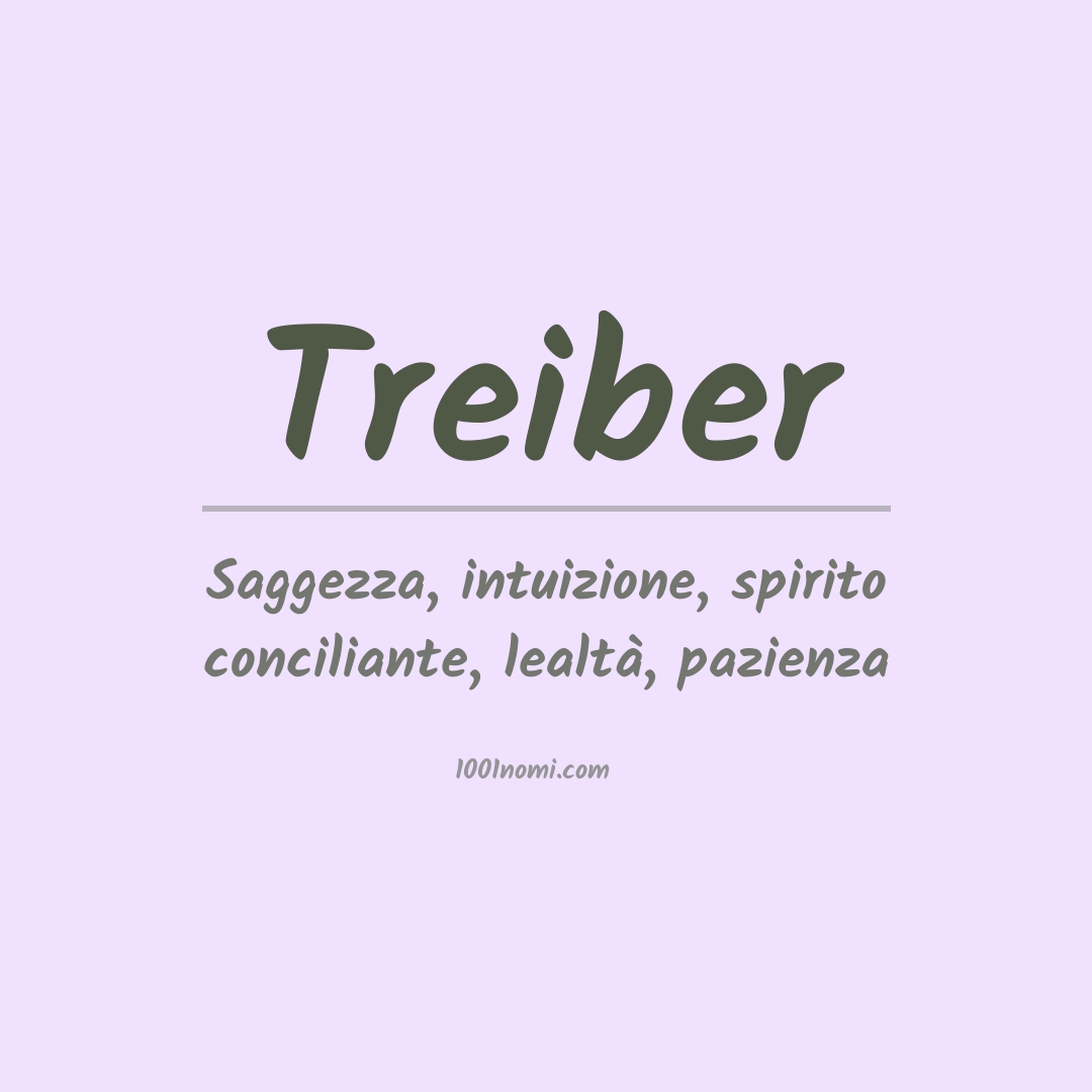 Significato del nome Treiber