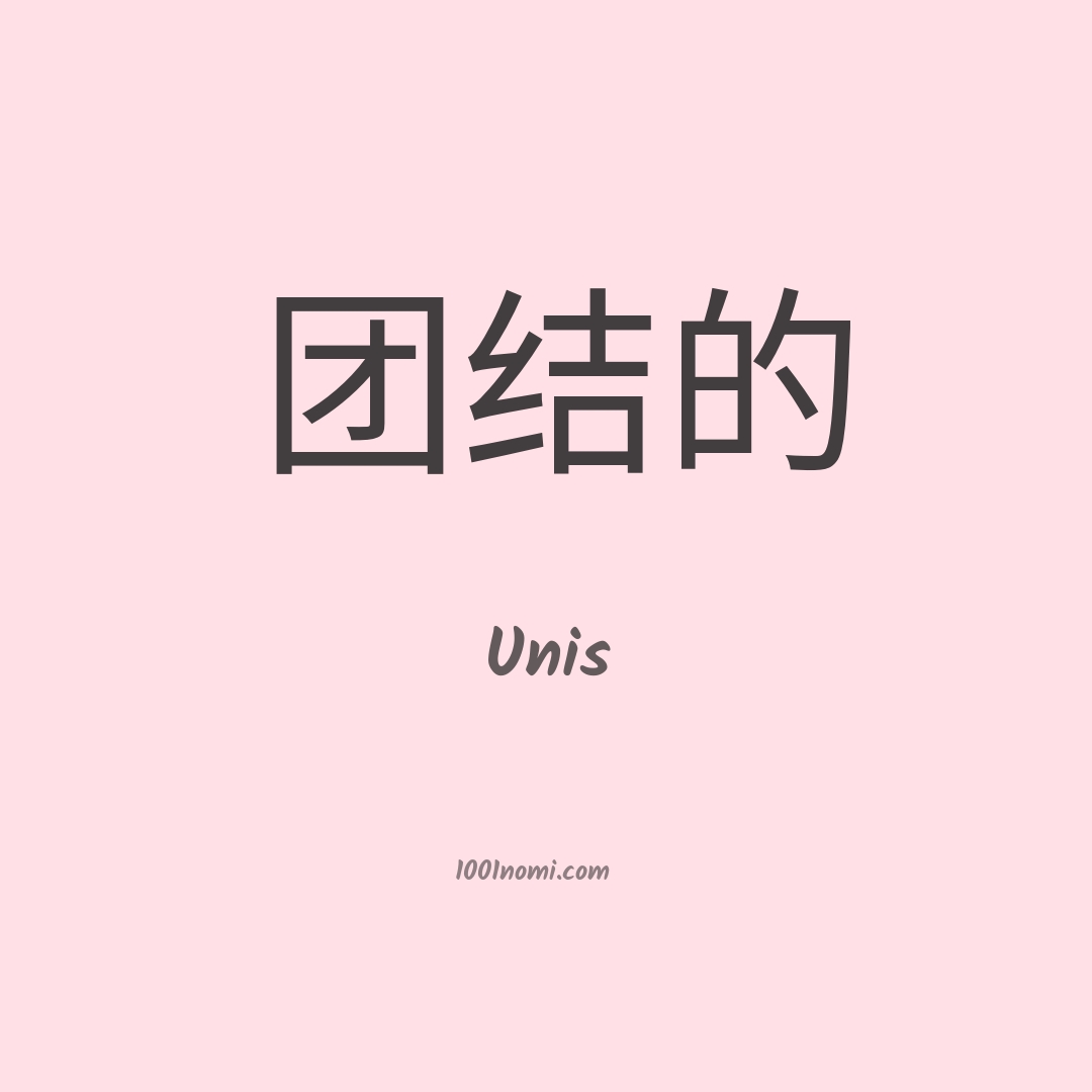Unis in cinese Unis in cinese