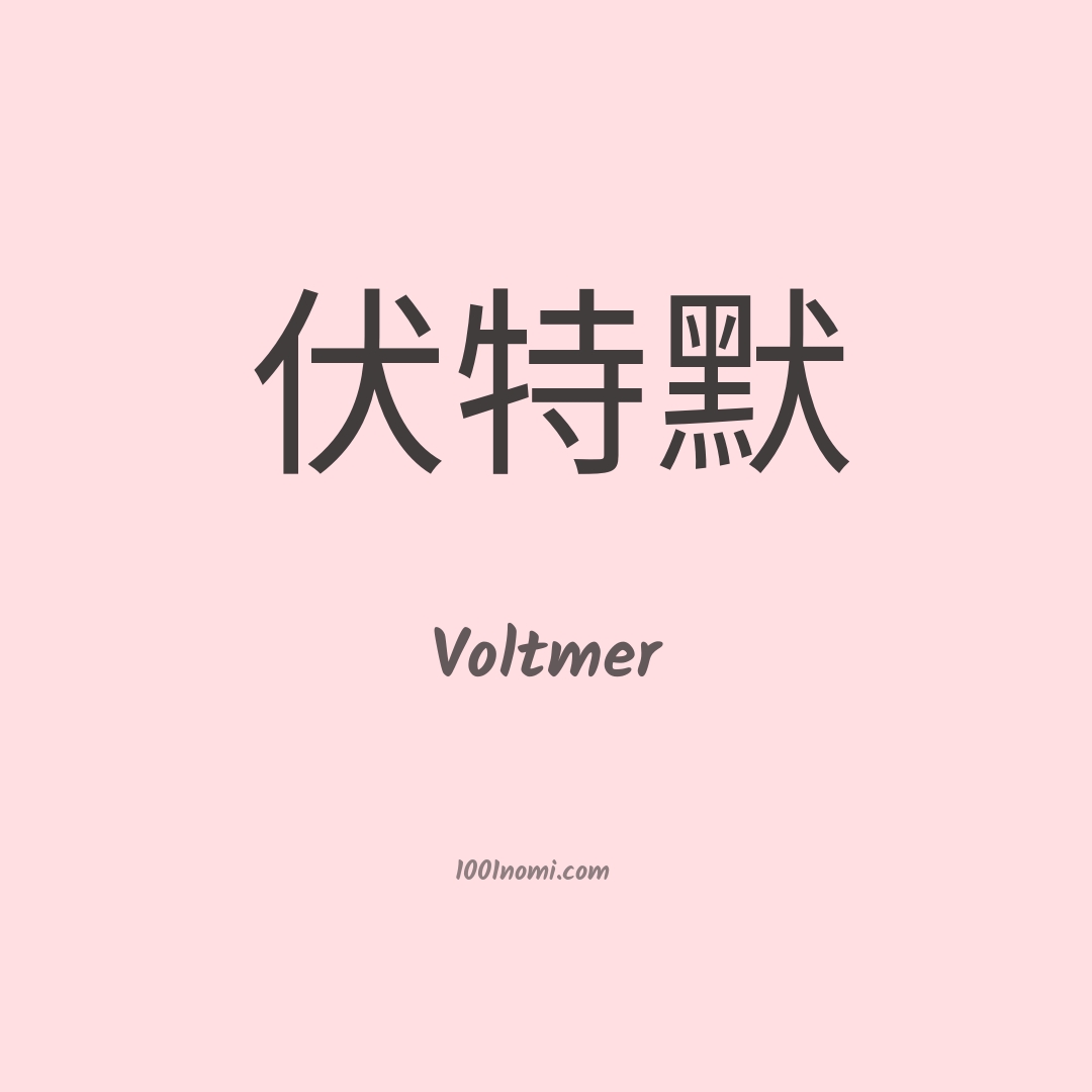 Voltmer in cinese Voltmer in cinese