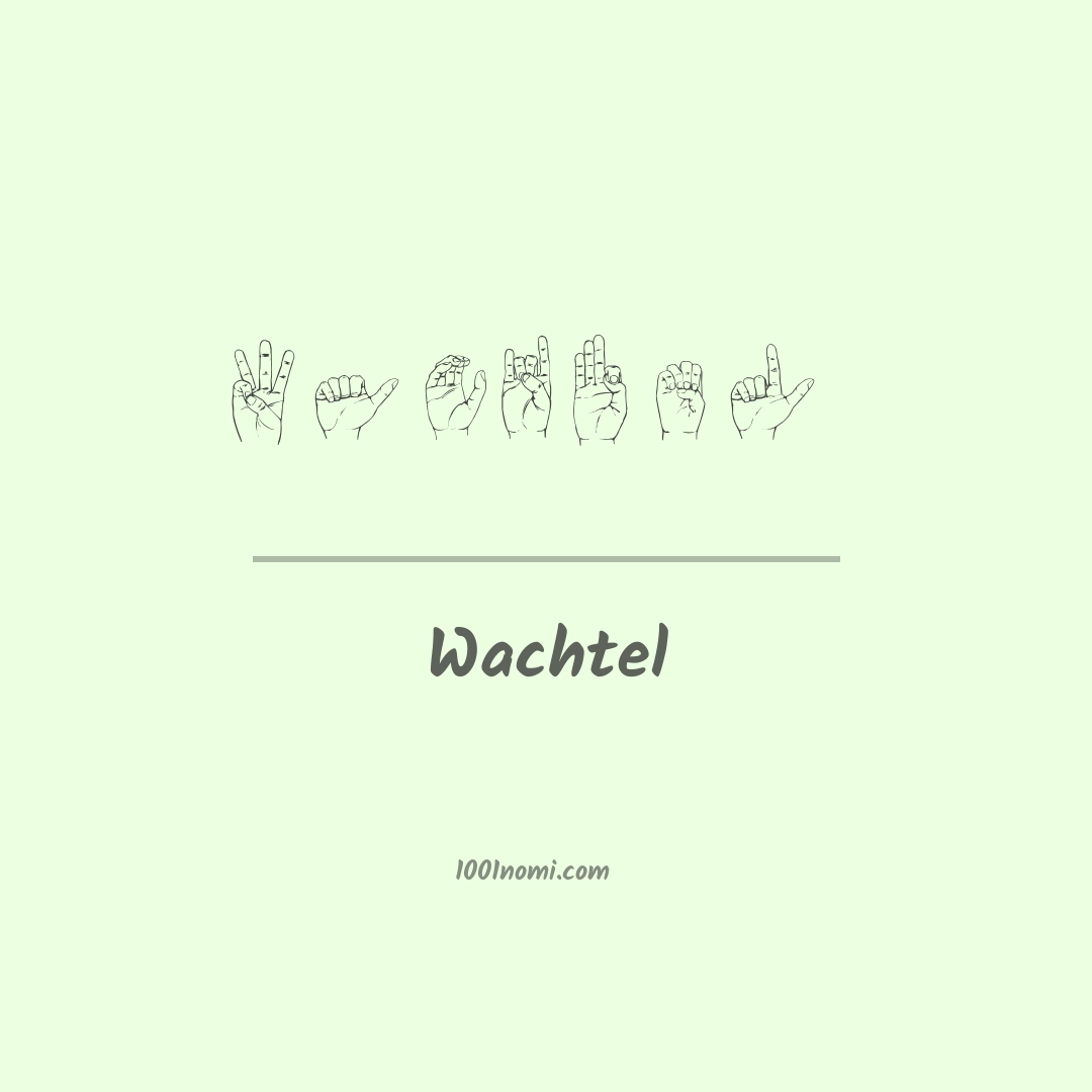 Wachtel nella lingua dei segni