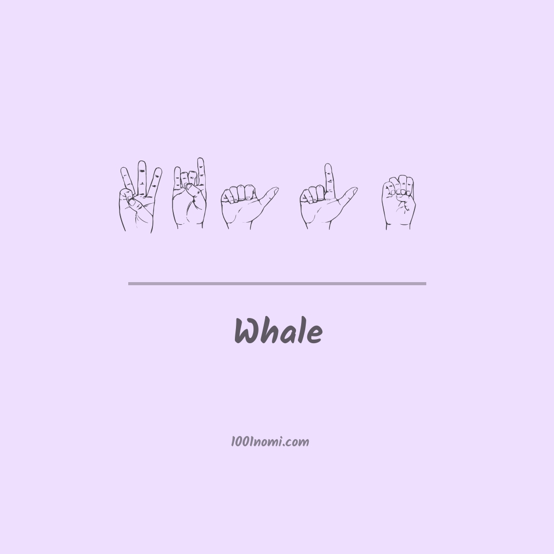 Whale nella lingua dei segni Whale nella lingua dei segni