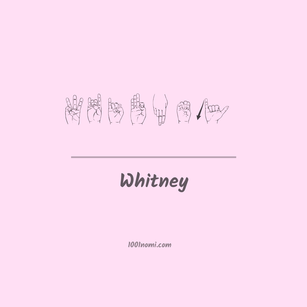 Whitney nella lingua dei segni